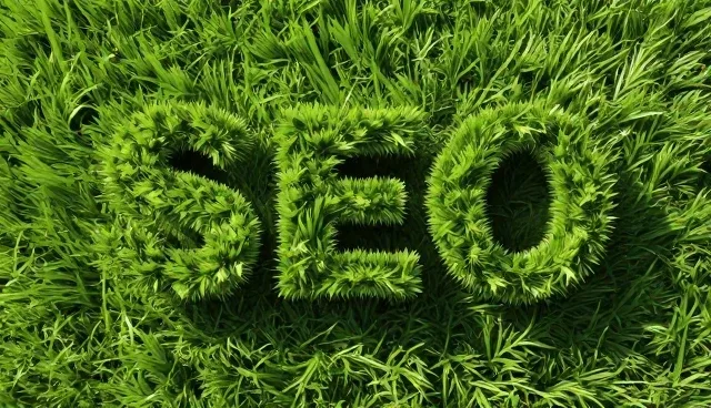 SEO优化中系统性能的理解误区与正确应用